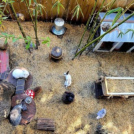 坦帕Cozy Af Tiny-House Oasis别墅 外观 照片