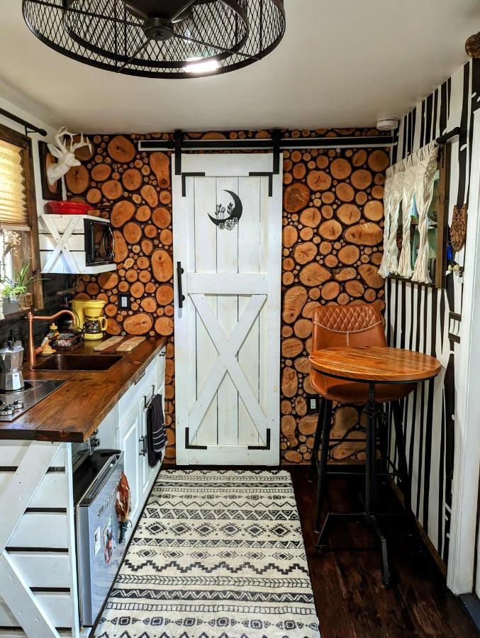 坦帕Cozy Af Tiny-House Oasis别墅 外观 照片