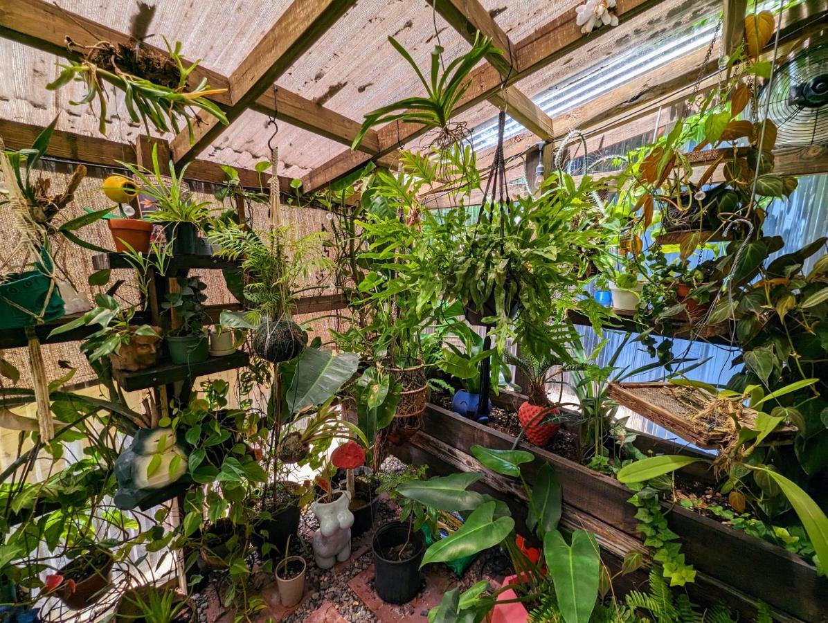 坦帕Cozy Af Tiny-House Oasis别墅 外观 照片