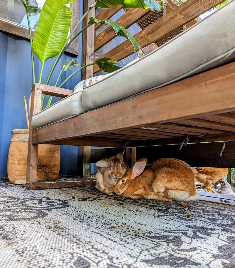 坦帕Cozy Af Tiny-House Oasis别墅 外观 照片