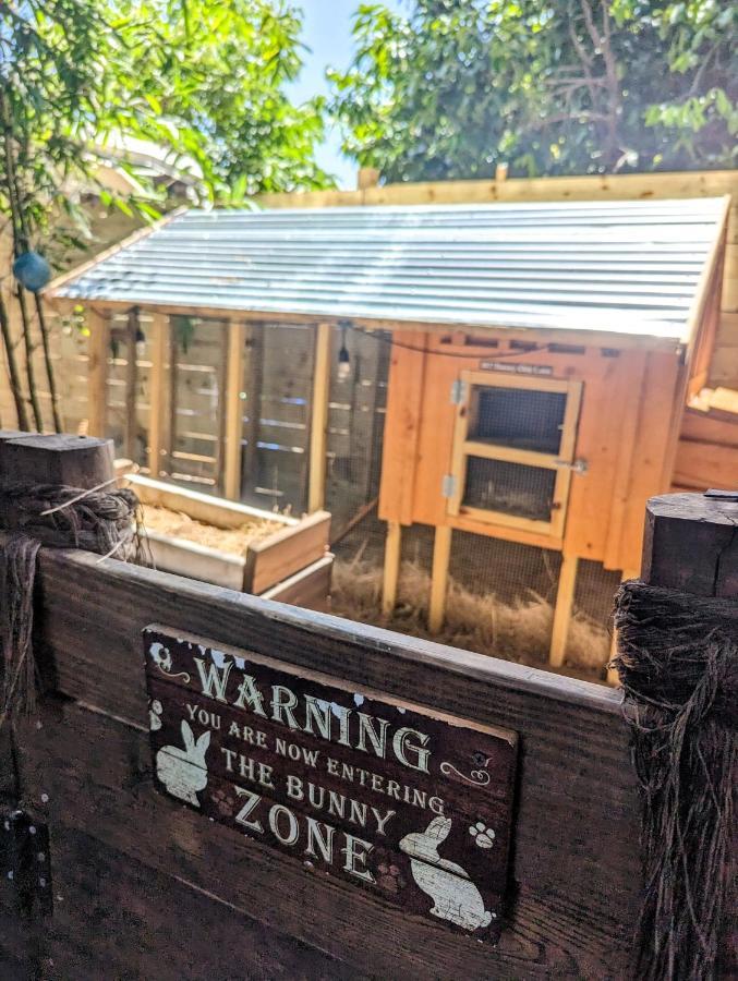 坦帕Cozy Af Tiny-House Oasis别墅 外观 照片