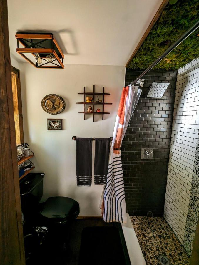 坦帕Cozy Af Tiny-House Oasis别墅 外观 照片