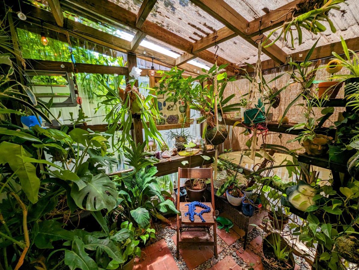 坦帕Cozy Af Tiny-House Oasis别墅 外观 照片